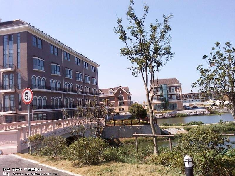 金山农民画_金山棕_金山海鲜城