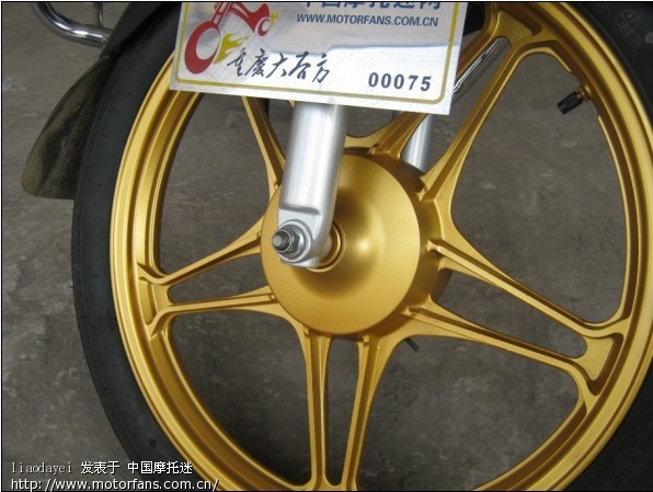 EN尽戴黄金甲,真正的体验版哟!