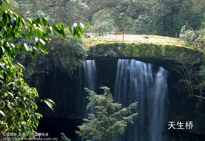 荣经龙苍沟枯木树,天生桥,杜鹃沟