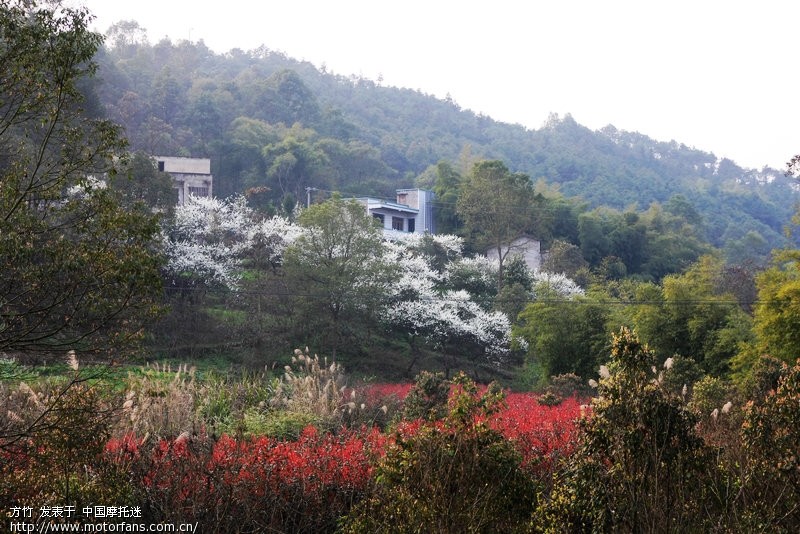 春游寨山坪 - 重庆摩友交流区 - 摩托车论坛 - 中国