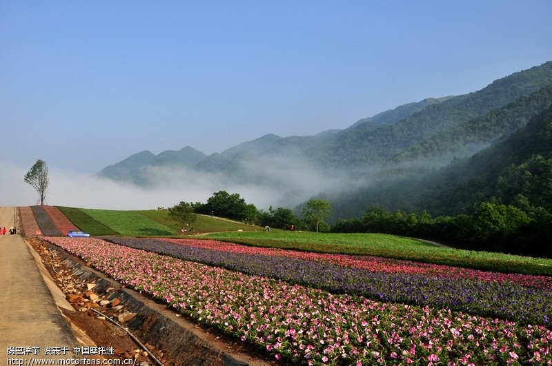 云中花海 摩旅天堂 (重庆巫溪红池坝国家森林公园)