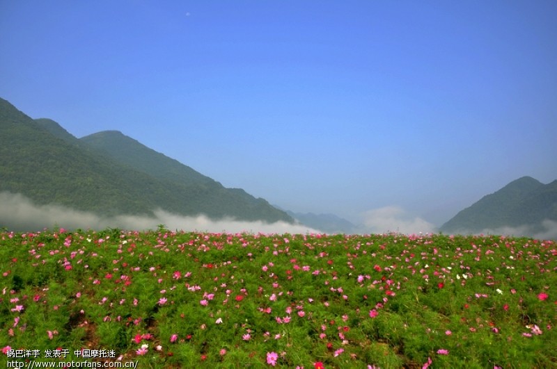 云中花海 摩旅天堂 (重庆巫溪红池坝国家森林公园)