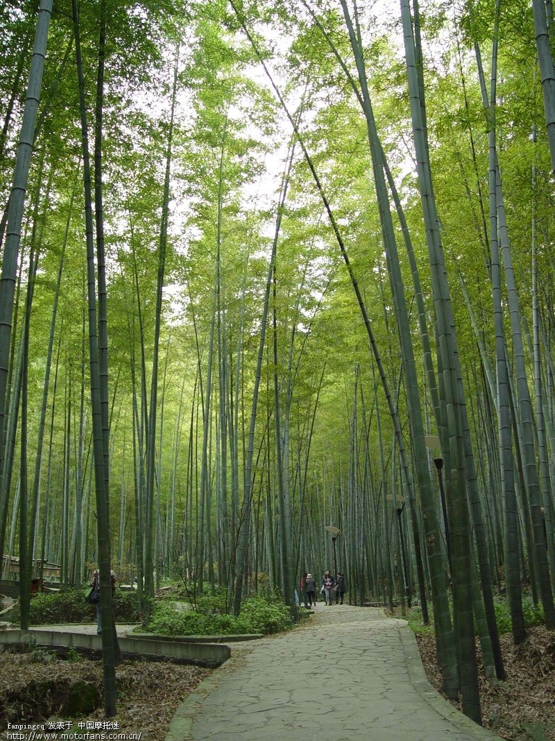 永川茶山竹海2日游