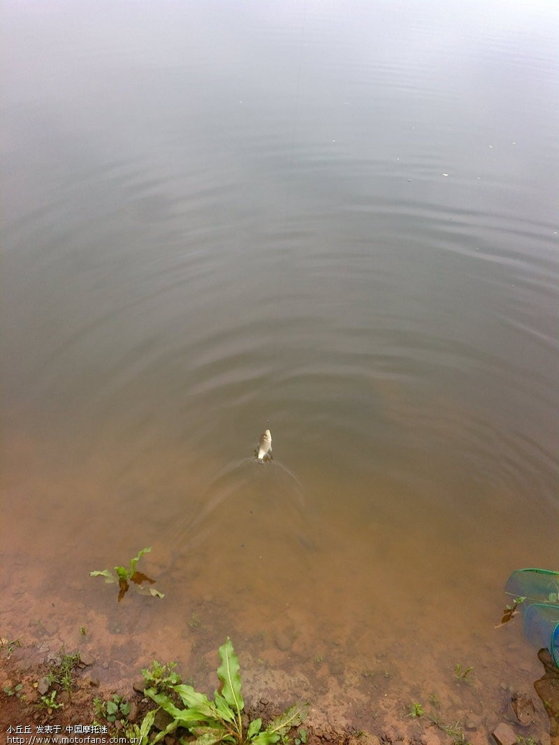 南川土溪水库钓鱼