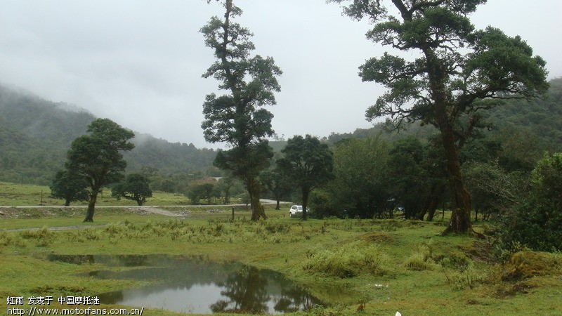 冒雨露营黄草坝,如梦仙境不虚行!