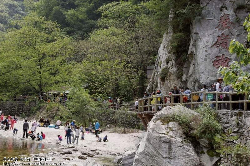 太平山森林公园一日游