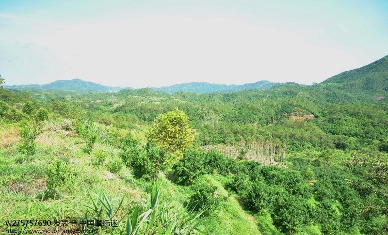 甲鱼跑山路 - 五羊本田-佳御(甲鱼) - 摩托车论坛