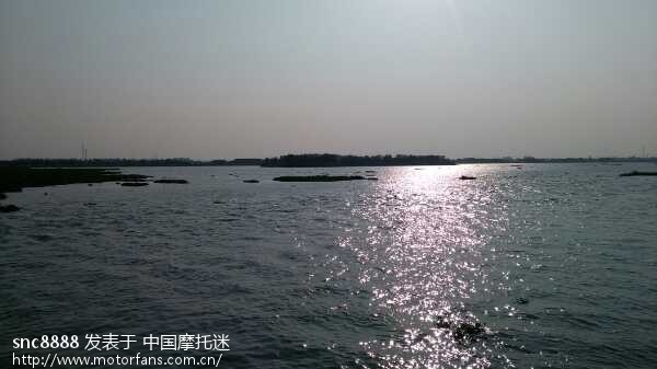 上海西郊淀山湖湿地