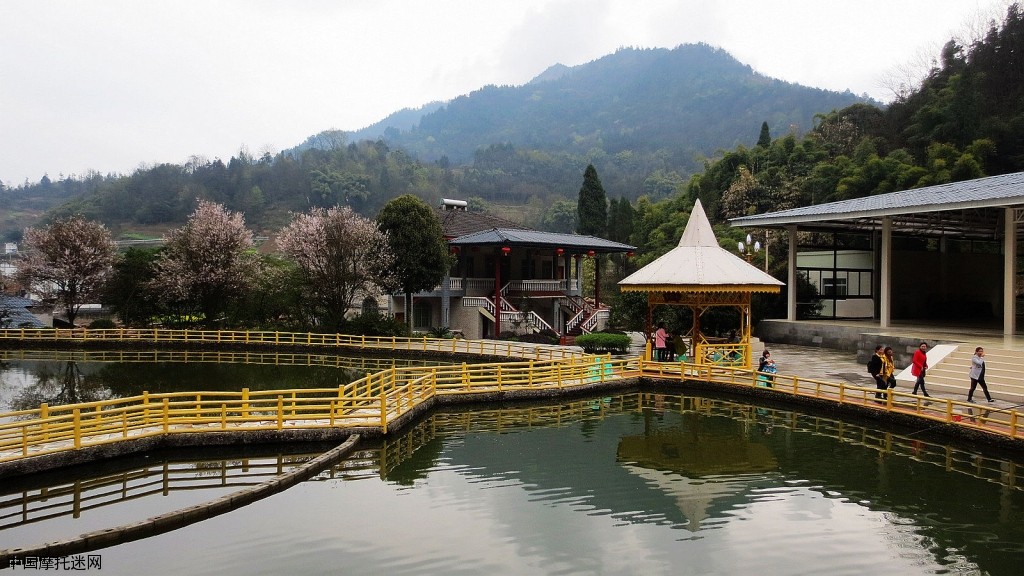 【超清视频】20160308重庆綦江打通镇吹角龙