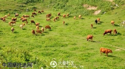 中老年集结号:摩旅湖北,慢游茅坪回族镇 - 第2页