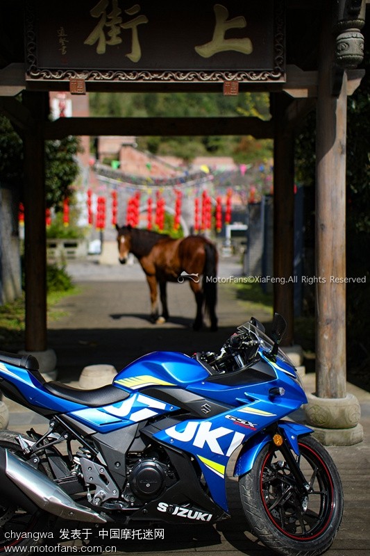 但见新人笑,那闻旧人蓝瘦香菇 - gsx250r - 摩托车论坛 - 中国摩托