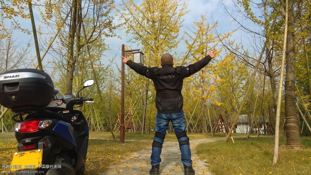 2017秋,巧格I小跑长兴八都芥,古银杏林扫黄 - 踏