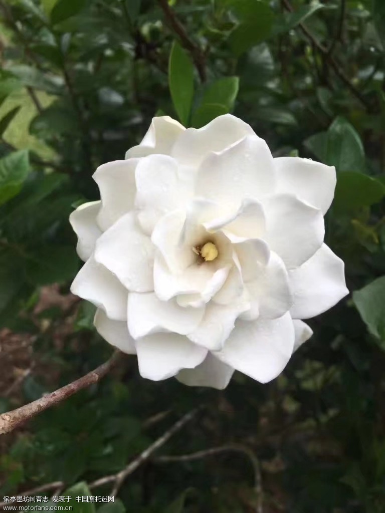 2017年6月中缅边境 2人 海南-大理 雨季出行山