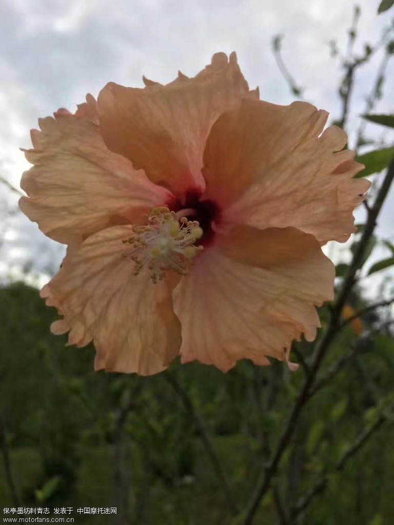 2017年6月中缅边境 2人 海南-大理 雨季出行山