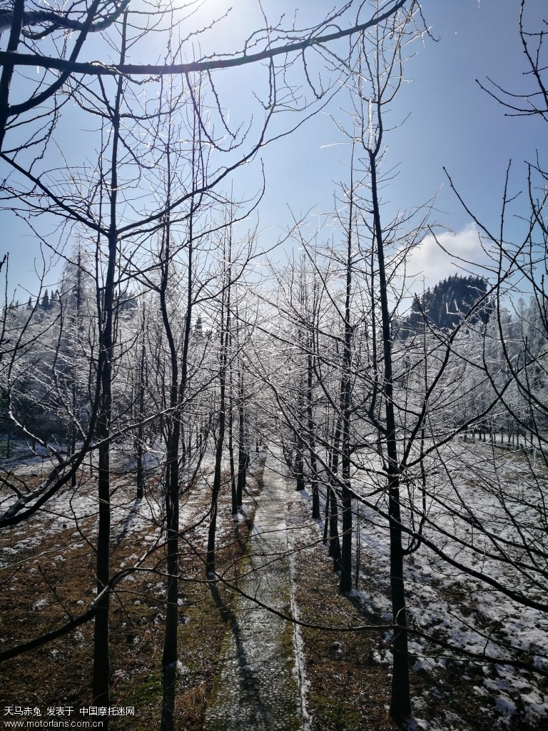 山王坪 雪色撩人
