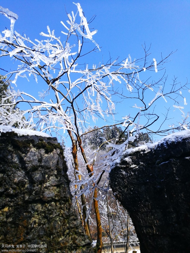 山王坪 雪色撩人