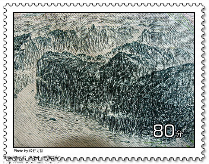 堂客们采蕨我拍照,其乐融融度周末