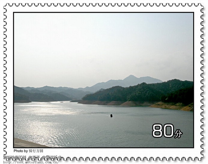 堂客们采蕨我拍照,其乐融融度周末