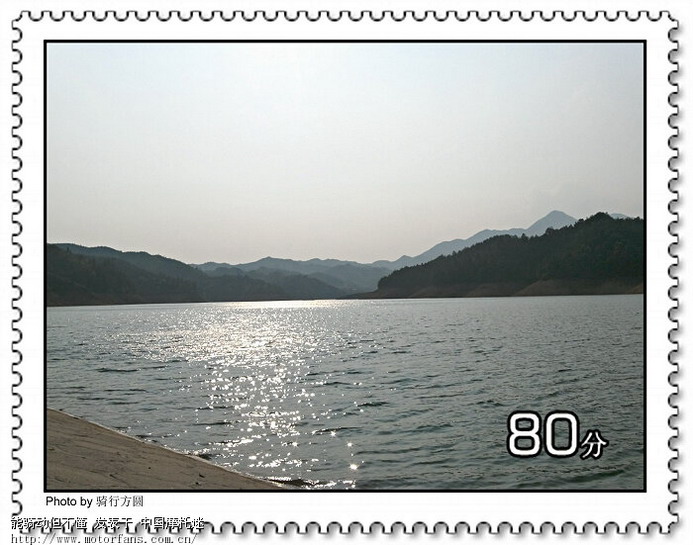 堂客们采蕨我拍照,其乐融融度周末