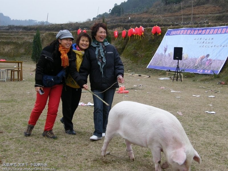 湖南信天游凤凰杀猪过年会